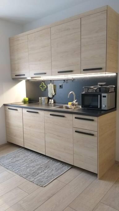 White Brick Apartment Ζάγκρεμπ Εξωτερικό φωτογραφία